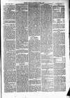 Cumberland & Westmorland Herald Saturday 06 March 1875 Page 5