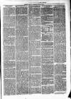Cumberland & Westmorland Herald Saturday 06 March 1875 Page 7