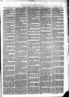 Cumberland & Westmorland Herald Saturday 13 March 1875 Page 3