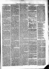 Cumberland & Westmorland Herald Saturday 13 March 1875 Page 7
