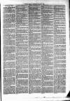 Cumberland & Westmorland Herald Saturday 20 March 1875 Page 3