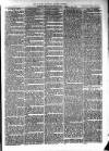 Cumberland & Westmorland Herald Saturday 03 April 1875 Page 3
