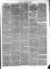 Cumberland & Westmorland Herald Saturday 03 April 1875 Page 7