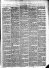 Cumberland & Westmorland Herald Saturday 24 April 1875 Page 7