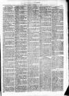 Cumberland & Westmorland Herald Saturday 01 May 1875 Page 3