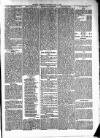 Cumberland & Westmorland Herald Saturday 01 May 1875 Page 5