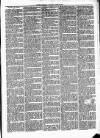 Cumberland & Westmorland Herald Saturday 15 May 1875 Page 3