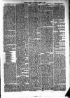 Cumberland & Westmorland Herald Saturday 07 August 1875 Page 5