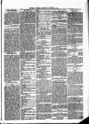 Cumberland & Westmorland Herald Saturday 28 August 1875 Page 5
