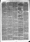 Cumberland & Westmorland Herald Saturday 04 September 1875 Page 7