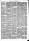 Cumberland & Westmorland Herald Saturday 16 October 1875 Page 3