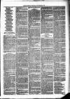 Cumberland & Westmorland Herald Saturday 20 November 1875 Page 3
