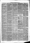 Cumberland & Westmorland Herald Saturday 18 December 1875 Page 3