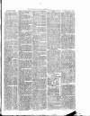 Cumberland & Westmorland Herald Saturday 08 January 1876 Page 3