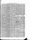 Cumberland & Westmorland Herald Saturday 05 February 1876 Page 3