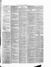 Cumberland & Westmorland Herald Saturday 04 March 1876 Page 7