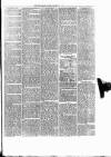Cumberland & Westmorland Herald Saturday 11 March 1876 Page 3