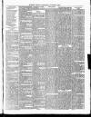 Cumberland & Westmorland Herald Saturday 04 January 1879 Page 3