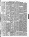 Cumberland & Westmorland Herald Saturday 08 February 1879 Page 3