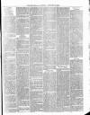 Cumberland & Westmorland Herald Saturday 10 January 1880 Page 3