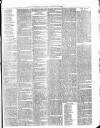 Cumberland & Westmorland Herald Saturday 17 January 1880 Page 3