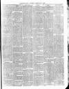 Cumberland & Westmorland Herald Saturday 14 February 1880 Page 7