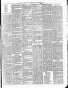 Cumberland & Westmorland Herald Saturday 21 February 1880 Page 3