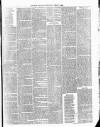 Cumberland & Westmorland Herald Saturday 03 April 1880 Page 3