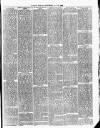 Cumberland & Westmorland Herald Saturday 15 May 1880 Page 7