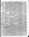 Cumberland & Westmorland Herald Saturday 12 June 1880 Page 3