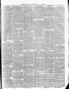 Cumberland & Westmorland Herald Saturday 12 June 1880 Page 7