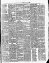 Cumberland & Westmorland Herald Saturday 26 June 1880 Page 3