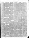 Cumberland & Westmorland Herald Saturday 17 July 1880 Page 7