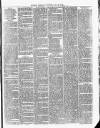 Cumberland & Westmorland Herald Saturday 31 July 1880 Page 3