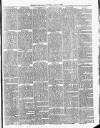 Cumberland & Westmorland Herald Saturday 31 July 1880 Page 7