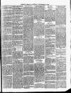 Cumberland & Westmorland Herald Saturday 04 September 1880 Page 5