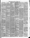 Cumberland & Westmorland Herald Saturday 09 October 1880 Page 5