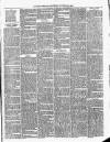 Cumberland & Westmorland Herald Saturday 30 October 1880 Page 3