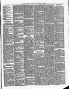 Cumberland & Westmorland Herald Saturday 27 November 1880 Page 3
