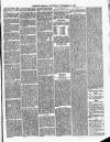 Cumberland & Westmorland Herald Saturday 27 November 1880 Page 5