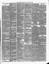 Cumberland & Westmorland Herald Saturday 08 January 1881 Page 3