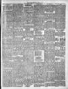 Cumberland & Westmorland Herald Saturday 08 April 1882 Page 6