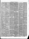 Cumberland & Westmorland Herald Saturday 09 March 1889 Page 3