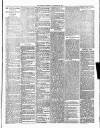 Cumberland & Westmorland Herald Saturday 29 November 1890 Page 7
