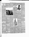 Cumberland & Westmorland Herald Saturday 03 January 1891 Page 7
