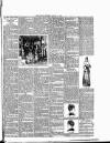 Cumberland & Westmorland Herald Saturday 17 January 1891 Page 7