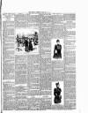 Cumberland & Westmorland Herald Saturday 14 February 1891 Page 7