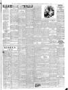 Cumberland & Westmorland Herald Saturday 06 March 1915 Page 7