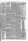 Maryport Advertiser Friday 13 April 1866 Page 5
