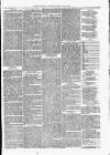 Maryport Advertiser Friday 08 June 1866 Page 5